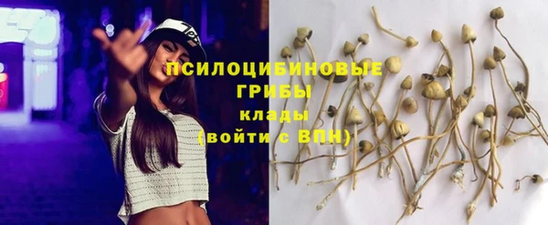 каннабис Аркадак