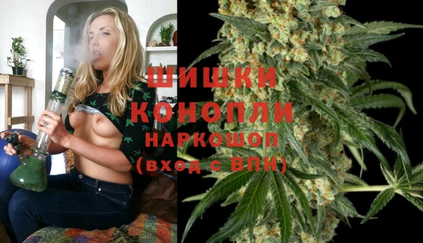 эйфоретик Арсеньев