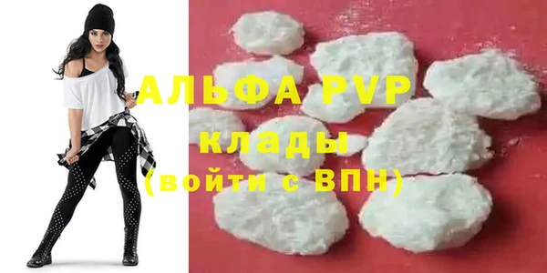 эйфоретик Арсеньев