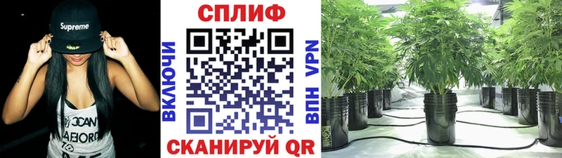 Марихуана планчик  купить закладку  Приморск 